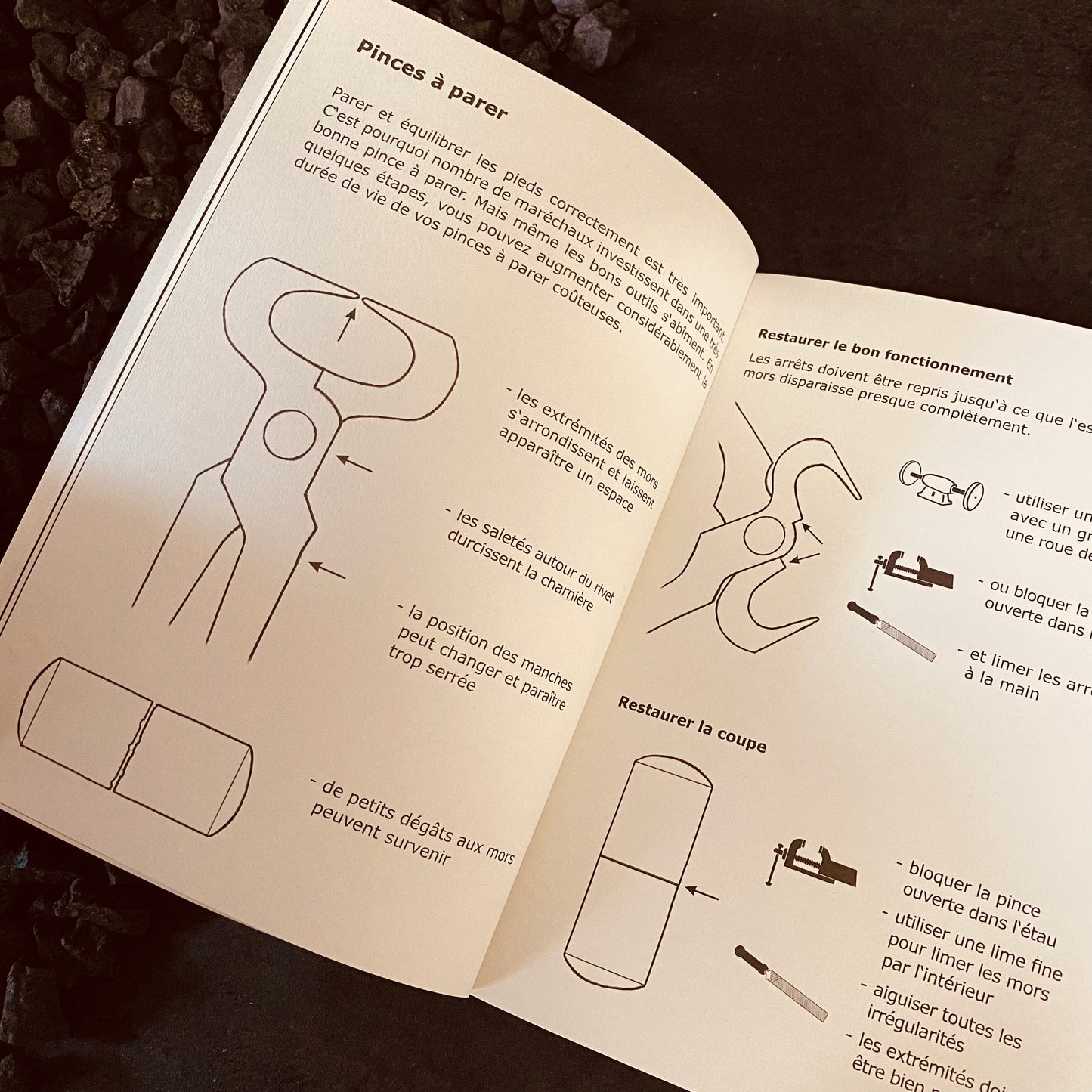 Französische Ausgabe